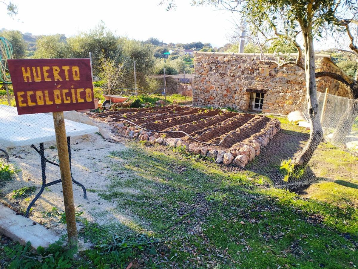 Casa Rural Bellavista Ronda Dış mekan fotoğraf
