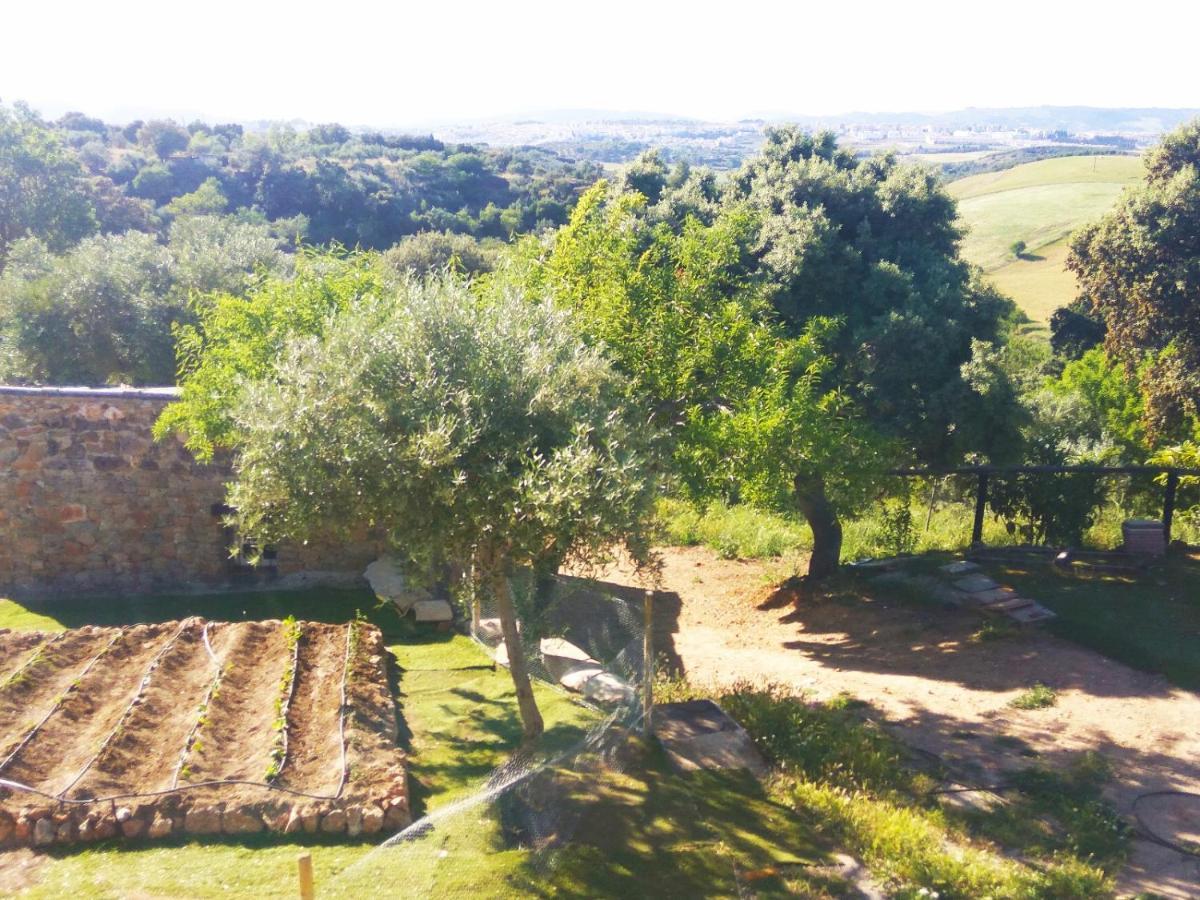 Casa Rural Bellavista Ronda Dış mekan fotoğraf