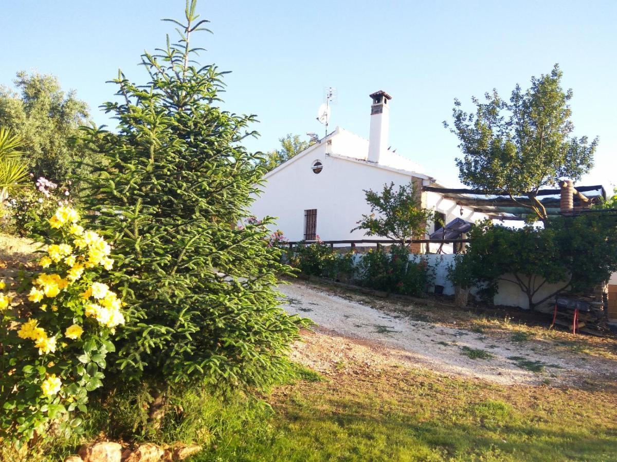 Casa Rural Bellavista Ronda Dış mekan fotoğraf