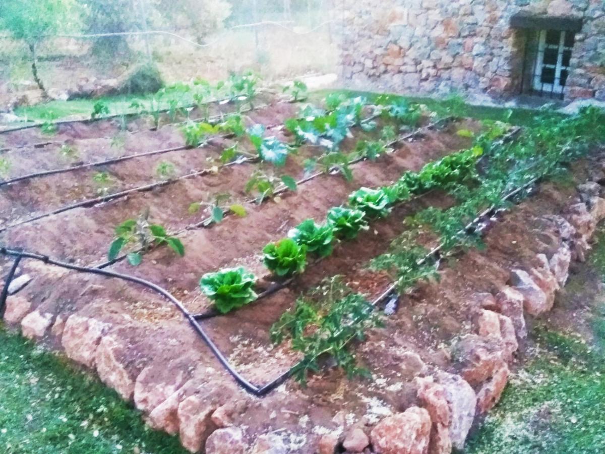 Casa Rural Bellavista Ronda Dış mekan fotoğraf