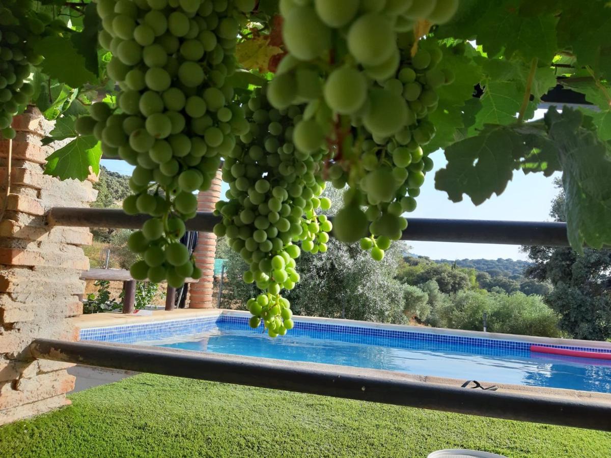 Casa Rural Bellavista Ronda Dış mekan fotoğraf